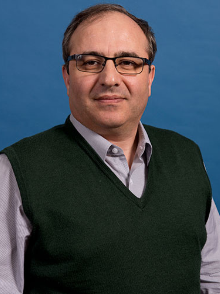 image of David Akopian   